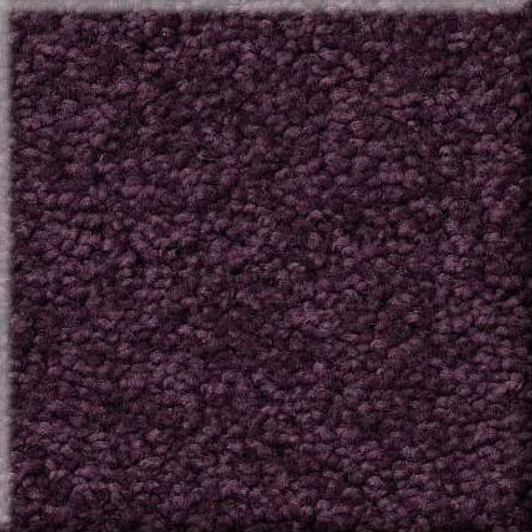 Shaw Origins II E9301 Residential Carpet Swatch