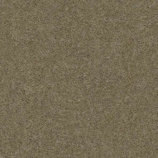 Shaw Banning Q3899 Residential Carpet