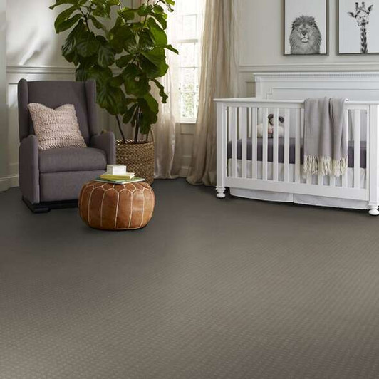 Shaw Nottingham E0116 Residential Carpet