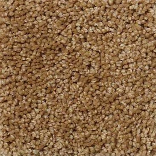 Shaw Origins E0523 Residential Carpet Swatch