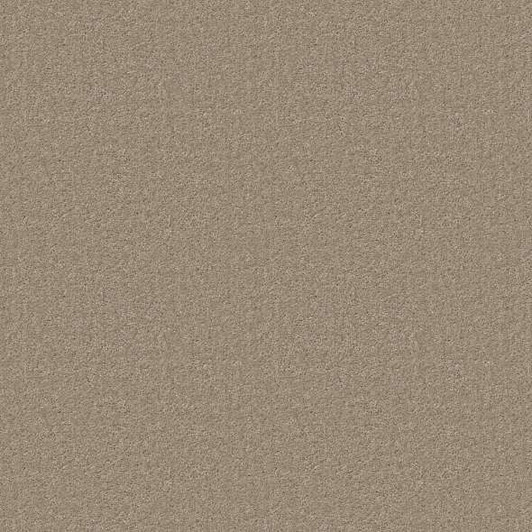 Shaw Sprinter E0577 Residential Carpet