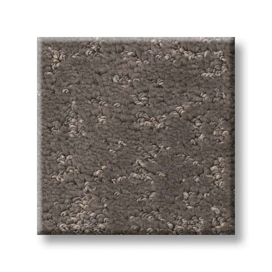 Shaw Pet Perfect Plus Home Within 5E583 Residential Carpet Swatch