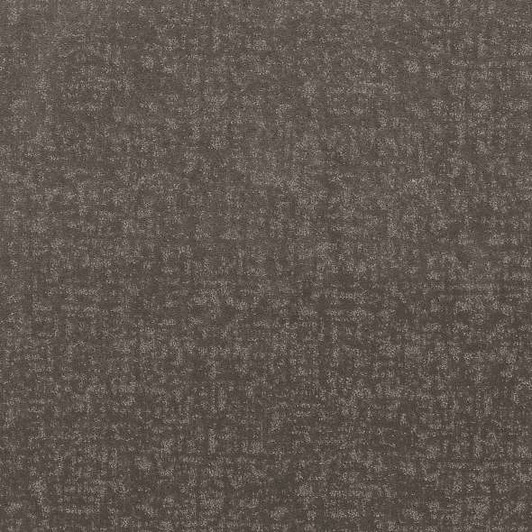 Shaw Pet Perfect Plus Home Within 5E583 Residential Carpet