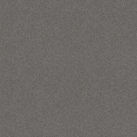 Shaw Essay II 12' 53N67 Residential Carpet