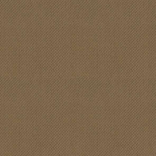 Shaw Traditional Elegance 52P13 Residential Carpet