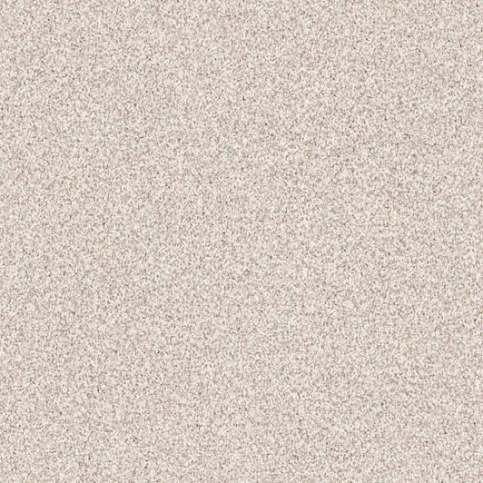Shaw Exploration Foundation EA701 Residential Carpet