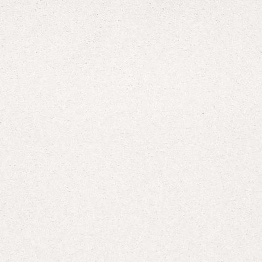 Shaw Timeless Appeal I 12' Q4310 Residential Carpet