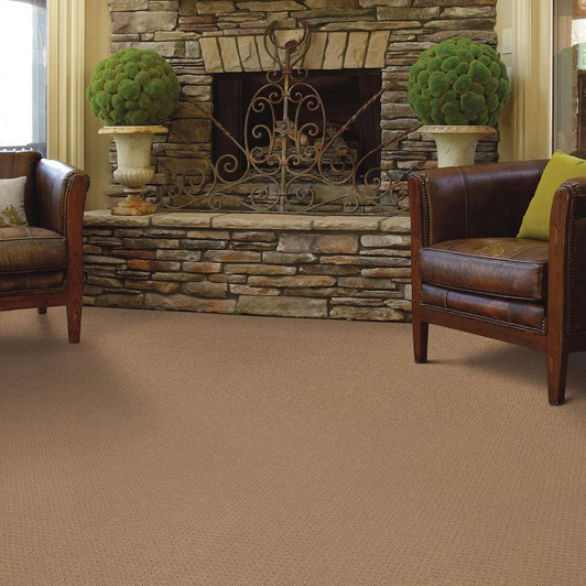 Shaw Unity IV Residential Carpet Room Scene
