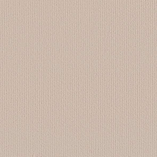 Shaw Warm Memories EA825 Residential Carpet