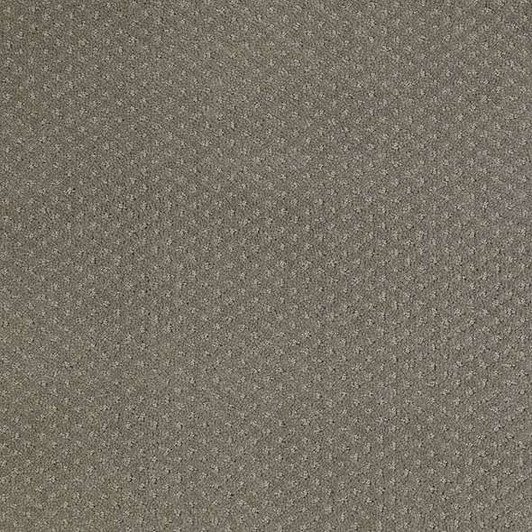 Shaw Genesis E0525 Residential Carpet