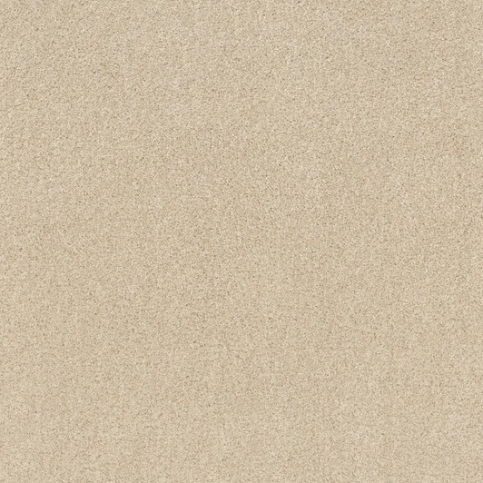 Shaw Source EA496 Residential Carpet - Winter White
