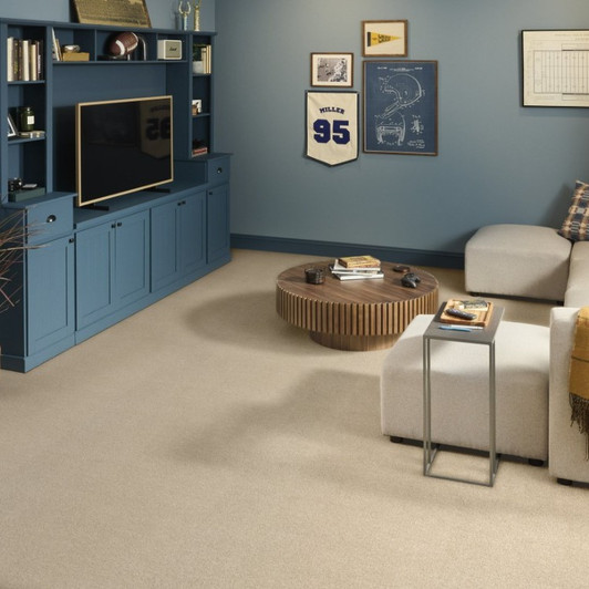 Shaw Source EA496 Residential Carpet - Winter White Room Scene