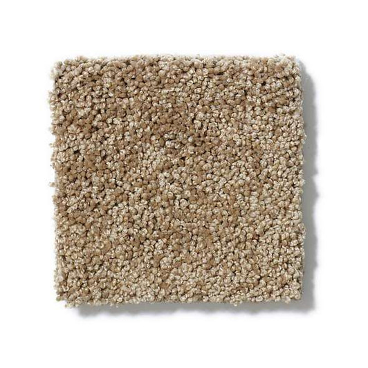 Shaw Loyal Beauty II EA163 Residential Carpet Swatch