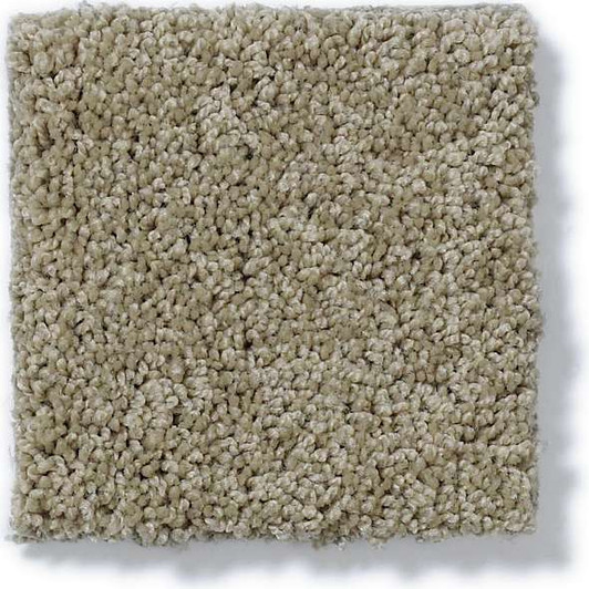 Shaw Enduring Comfort I E0341 Residential Carpet Swatch
