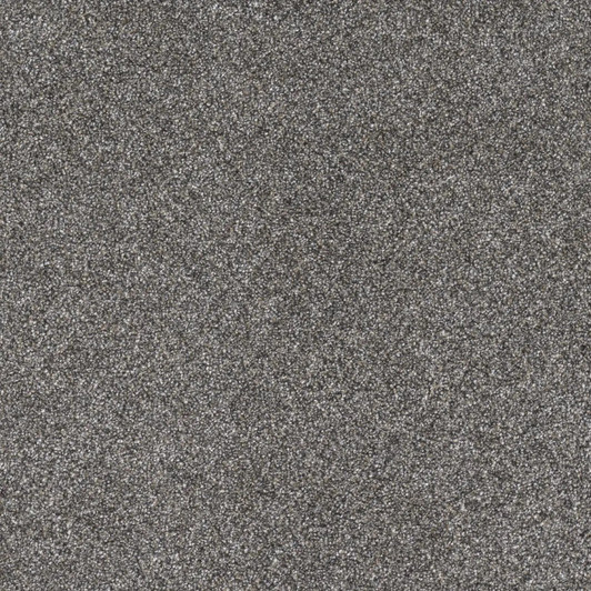 Buy Dreamweaver Gold Standard I 4046 Residential Carpet at Georgia