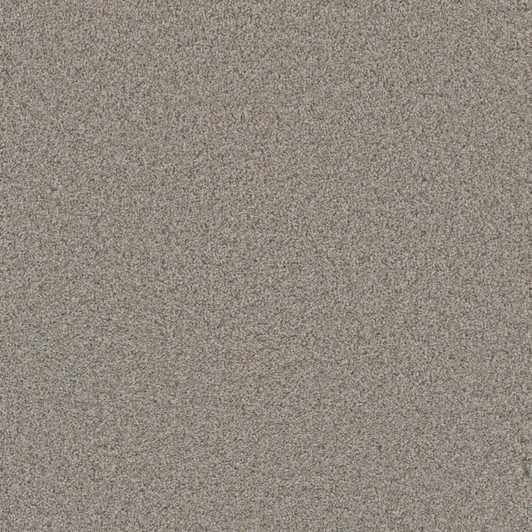 Phenix Aviara FloorEver PetPlus Residential Carpet is Available for a