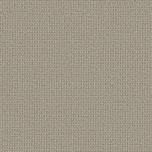 Anderson Tuftex Pet Perfect Fetch ZZ074 Residential Carpet