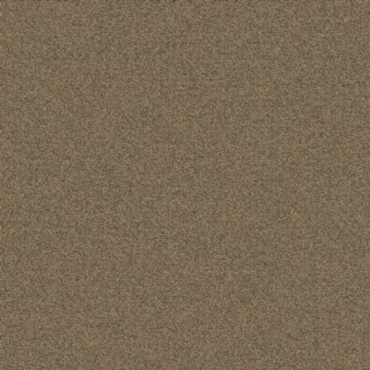 Mohawk Aladdin Scholarship II 20 AQ99 Commercial Broadloom Carpet Sienna