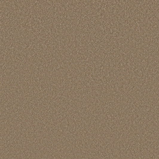 Shaw Pet Perfect Way To Go III Residential Carpet