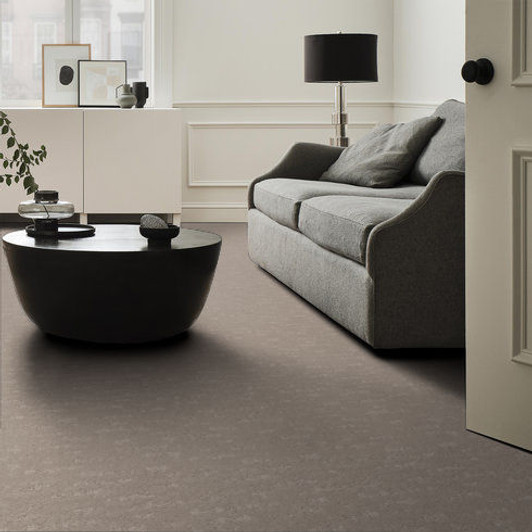 Anderson Tuftex Evoke ZZ326 Residential Carpet Room Scene Anderson Tuftex Evoke ZZ326 Residential Carpet Room Scene