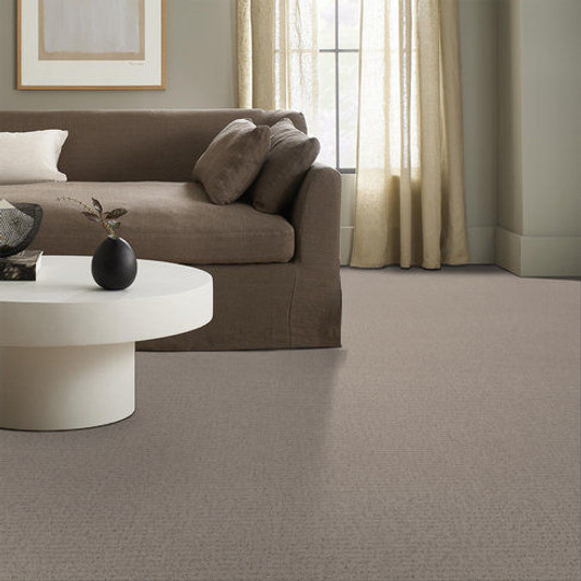 Shaw Anderson Tangent ZZ328 Residential Carpet Room Scene