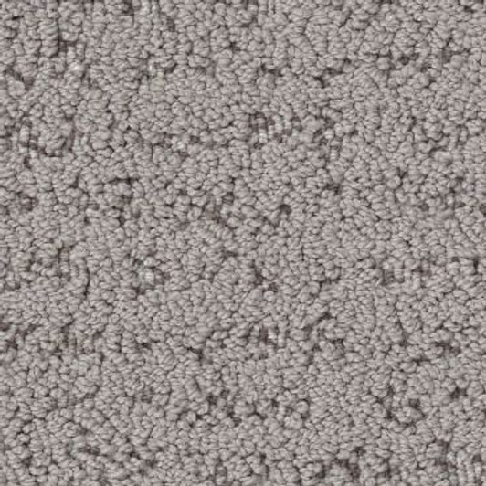 Shaw Anderson Tangent ZZ328 Residential Carpet