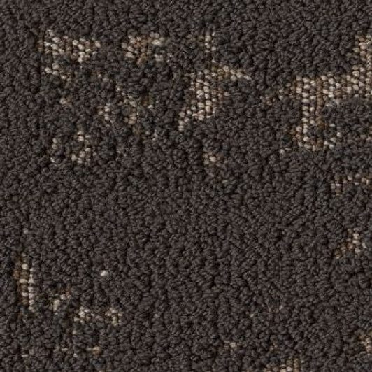 Shaw Anderson Tuftex Discover ZZ329 Residential Carpet