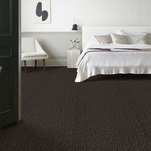 Anderson Tuftex Ambitious ZZ32 Residential Carpet Room Scene Anderson Tuftex Ambitious ZZ32 Residential Carpet Room Scene