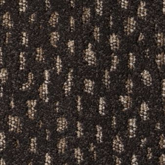 Anderson Tuftex Ambitious ZZ32 Residential Carpet Anderson Tuftex Ambitious ZZ32 Residential Carpet