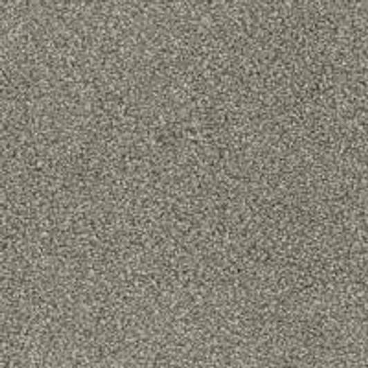 Phenix Paxton FP017 FloorEver PetPlus Residential Carpet Luxurious