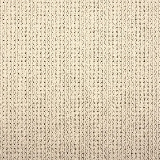 Stanton  Pet Guard Malory 5436 Residential Carpet