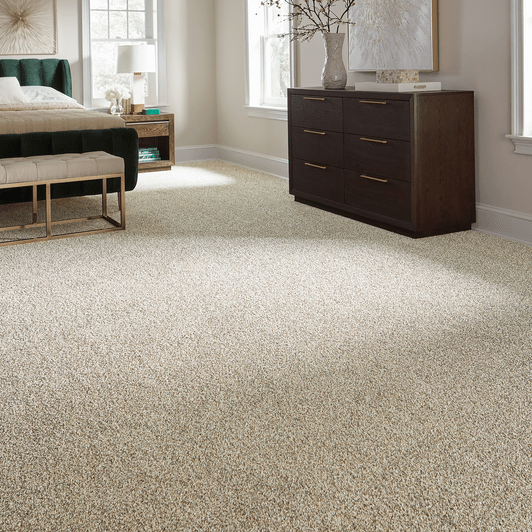 Mohawk Pet Premier Purrsonality 3M37 Residential Carpet Room Scene