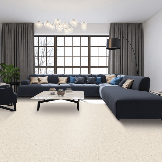 Mohawk Pet Premier Diffurent Choice II 3M42 Residential Carpet Room Scene