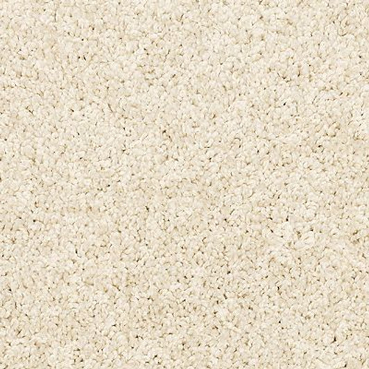 Mohawk Pet Premier Diffurent Choice III 3M43 Residential Carpet