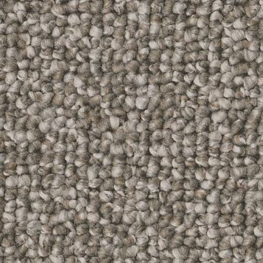 Shaw Philadelphia MainStreet Avenue 54989 Commercial Carpet