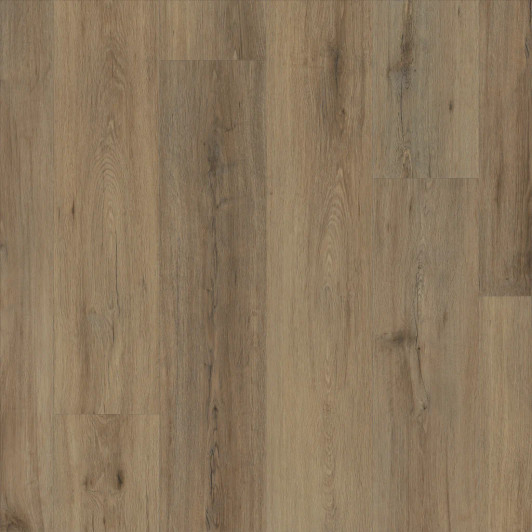 Shaw Resilient Residential Paladin Plus 0278V Luxury Vinyl Plank 