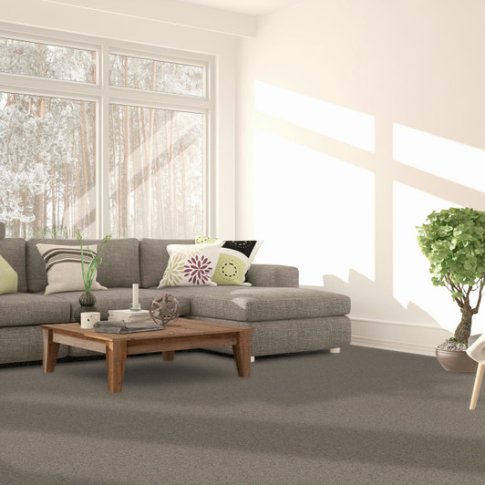 Dreamweaver Serene III 7165 Residential Carpet Room Scene