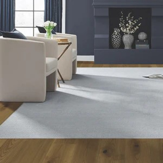 Fabrica Occasion 339OC Nylon Residential Carpet Room Scene