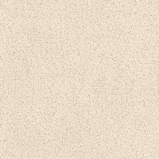 Fabrica Tribute 115TB Nylon Residential Carpet