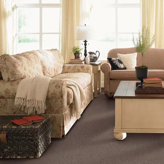 Mohawk Everstrand Champion II 3I19 Residential Carpet Room Scene