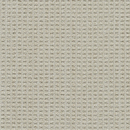 Dreamweaver Dublin II 8747 Residential Carpet