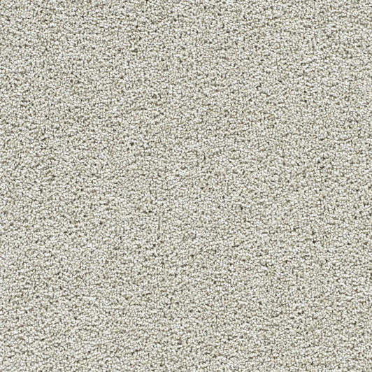 Dreamweaver Captivating III 1335 Residential Carpet
