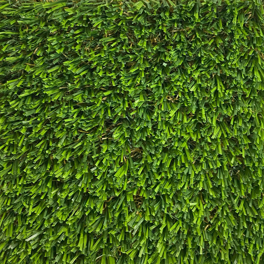 Georgia Carpet Pro Series Pro Pet/Fringe 65 Artificial Turf