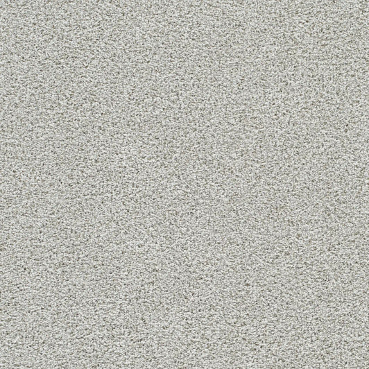Dreamweaver Lucky Penny II 4055 Residential Carpet (4055)