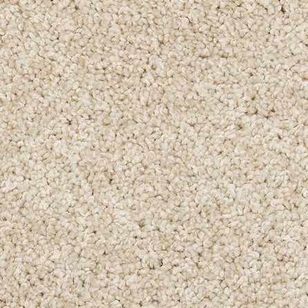 Mohawk Everstrand Renovate I 3L34 Eco Carpet | Georgia Carpet