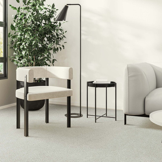 フェイスカラー CONSTELLATION DREAMS Buy Dreamweaver Clear Skies III Residential Carpet at Georgia