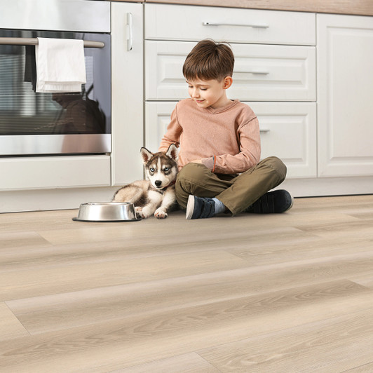 Stanton Natural Beauty Lux 7 Colebrook Luxury Vinyl Plank Room Scene