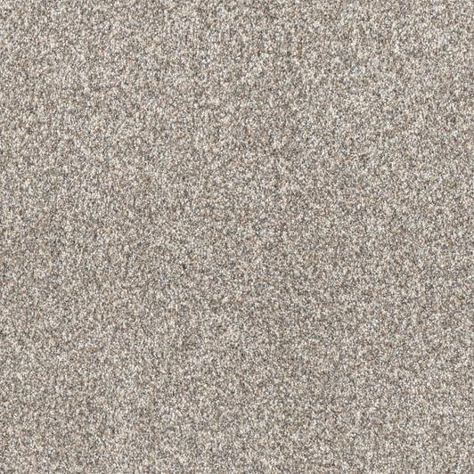 Dreamweaver Affinity I 6342 Residential Carpet