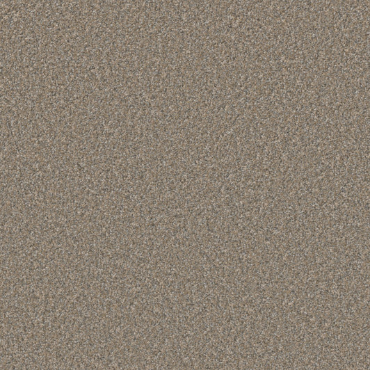 Dreamweaver Excalibur IV 5072 Residential Carpet