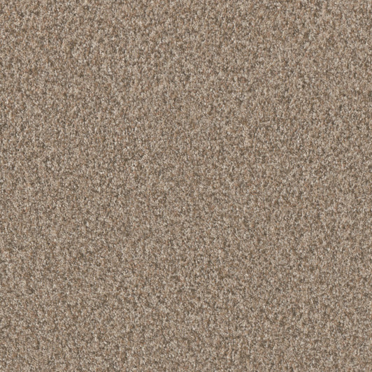 Engineered Floors Dreamweaver Timberline III 6365 Residential Carpet